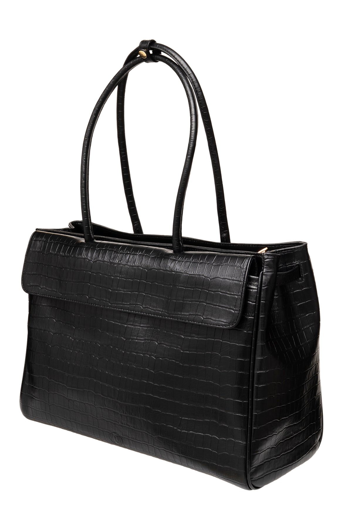 Portfolio Bag