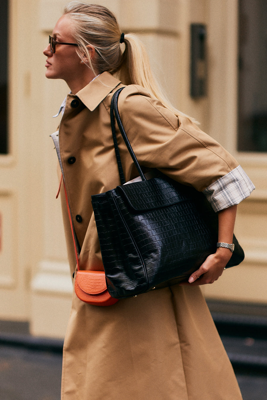 Portfolio Bag