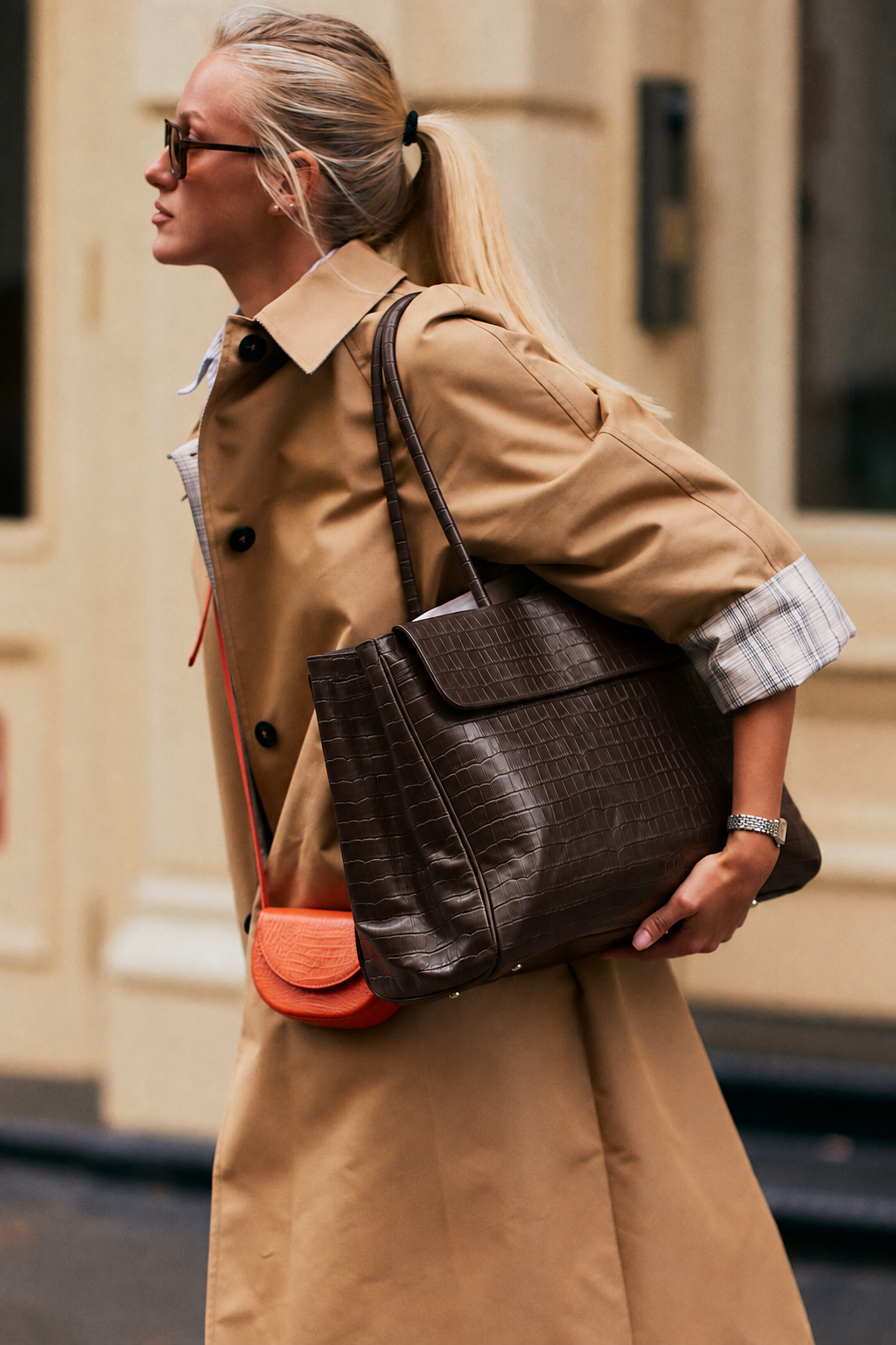 Portfolio Bag